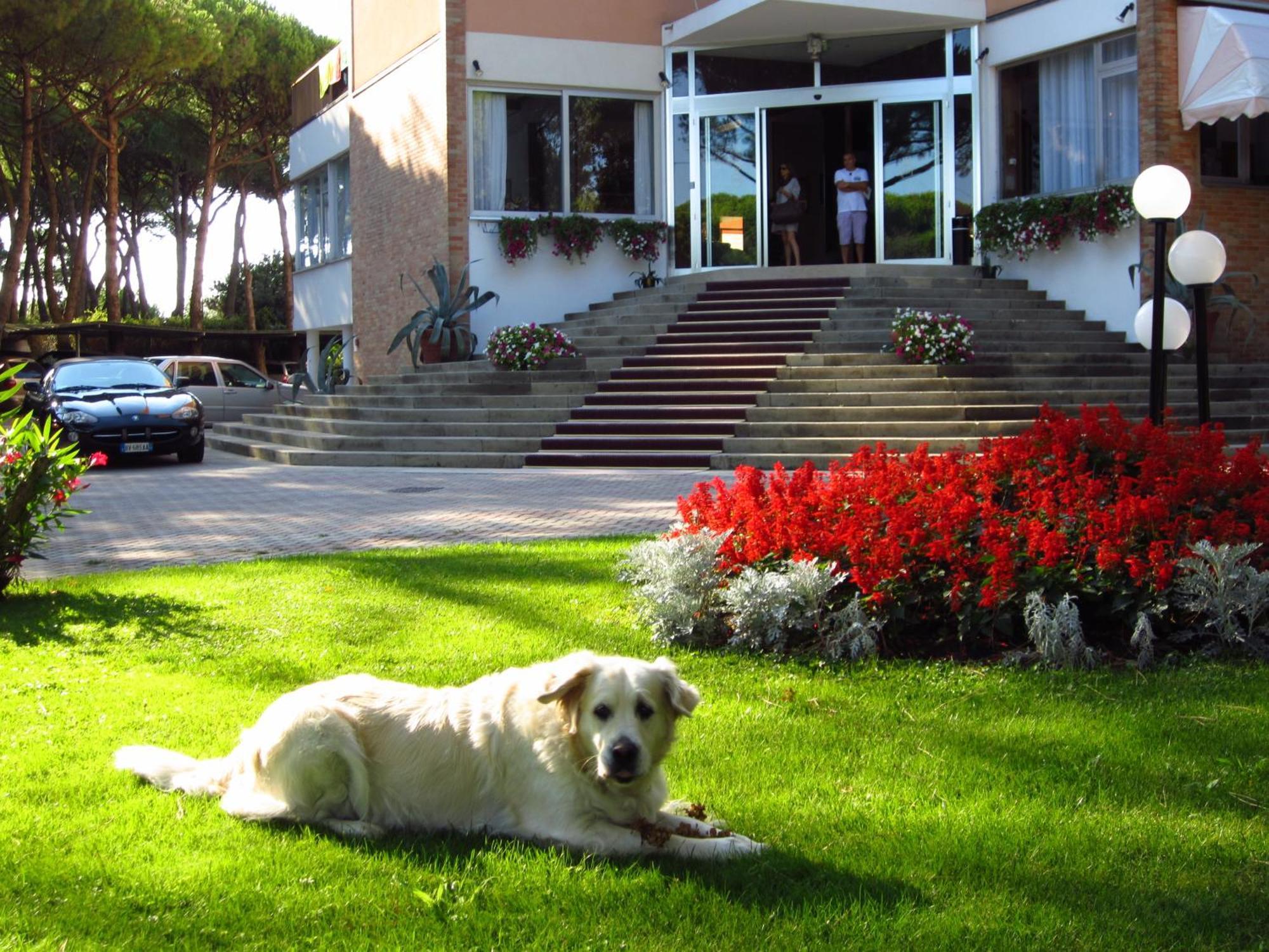 Hotel Beau Rivage Pineta Lido di Jesolo Luaran gambar